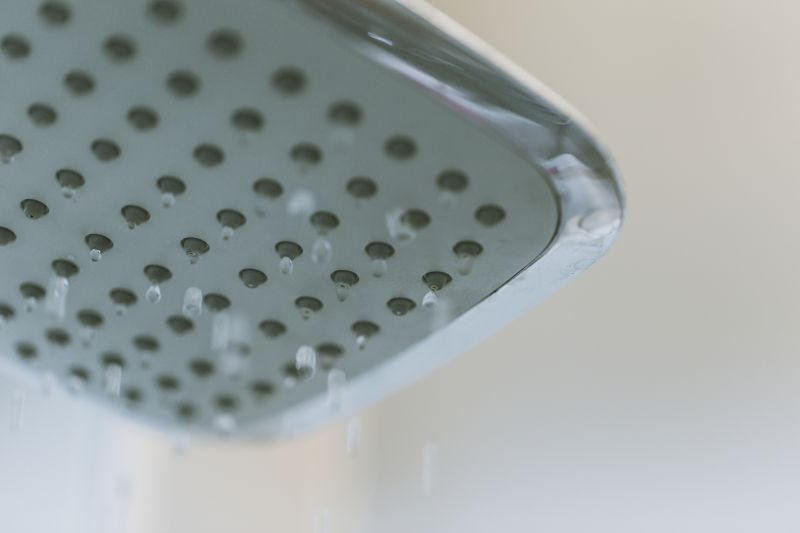 Rainfall Showerhead
